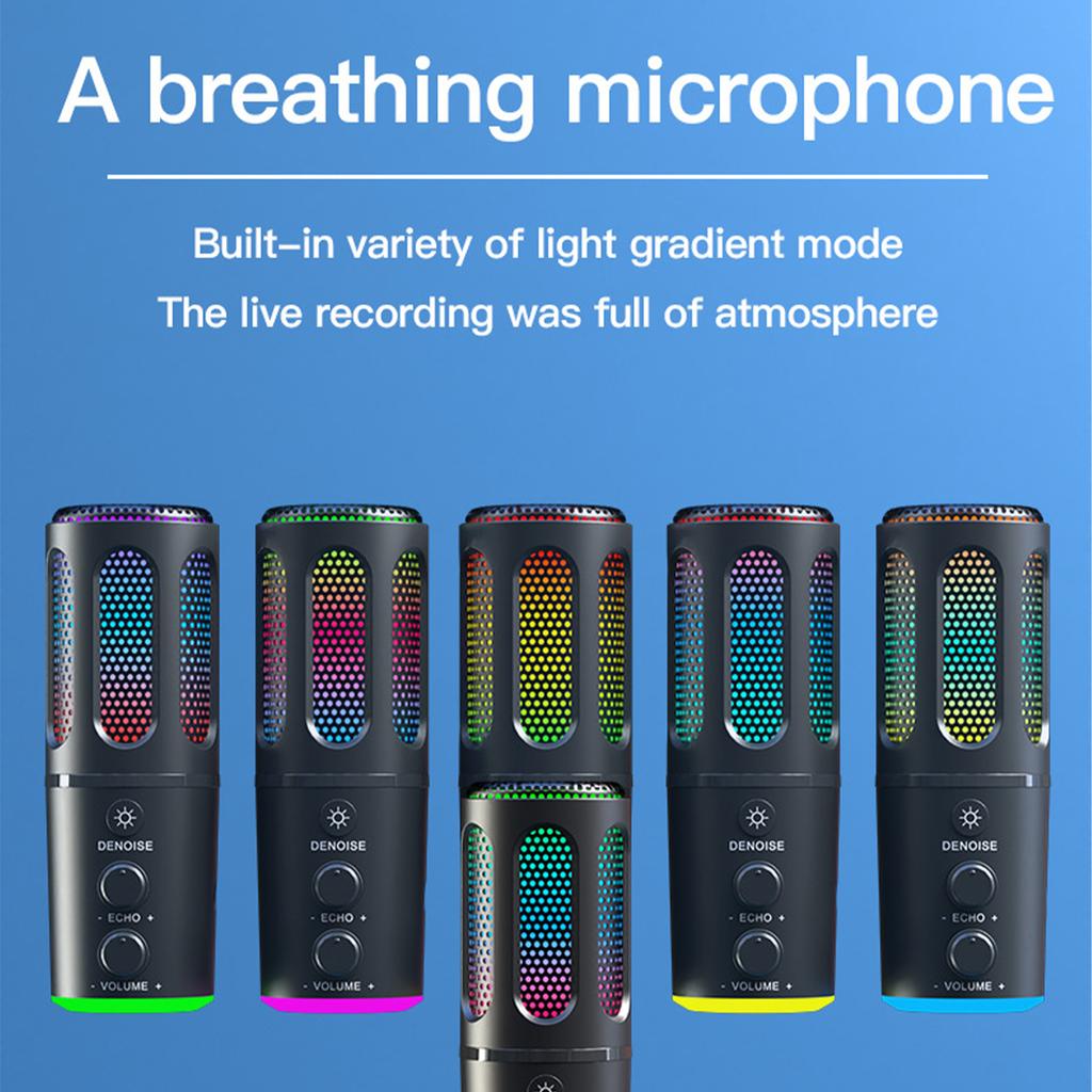 Computer desktop noise reduction microphone game live karaoke notebook voice anchor sound card condenser microphone