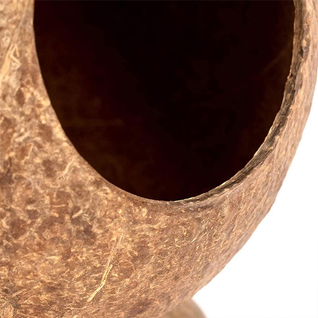 Coconut Hamster House - Easy To Care For And For Small Spaces Hideout Nest Pet Toy Unique Pets Terrarium-Friendly Pets