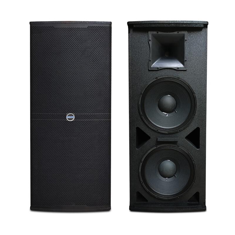Hyundai HD-912 12-inch Professional Stage Speaker CN plug (adapter included)