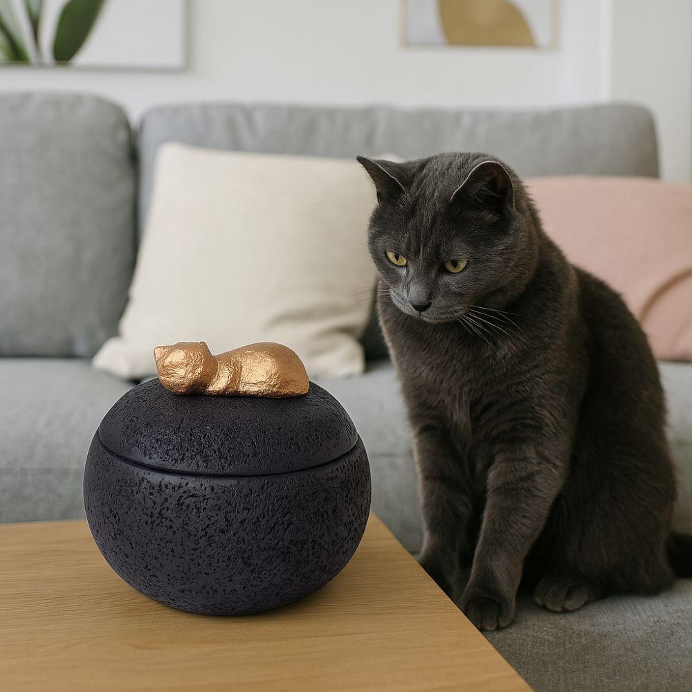 Пылезащитная Мемориальная урна для питомцев Водонепроницаемые кремационные урны Портативный контейнер для праха питомца Подарок сочувствия