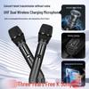 SAST SA-518 All-in-One Karaoke System with 23-inch Display CN plug (adapter included)