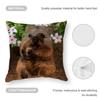 Anime Cute Rock Hyrax Animal Pillow Case Anti-Dustmite Pillowcase Invisible Zipper Silky Short Plush Sofa Cushion Cover