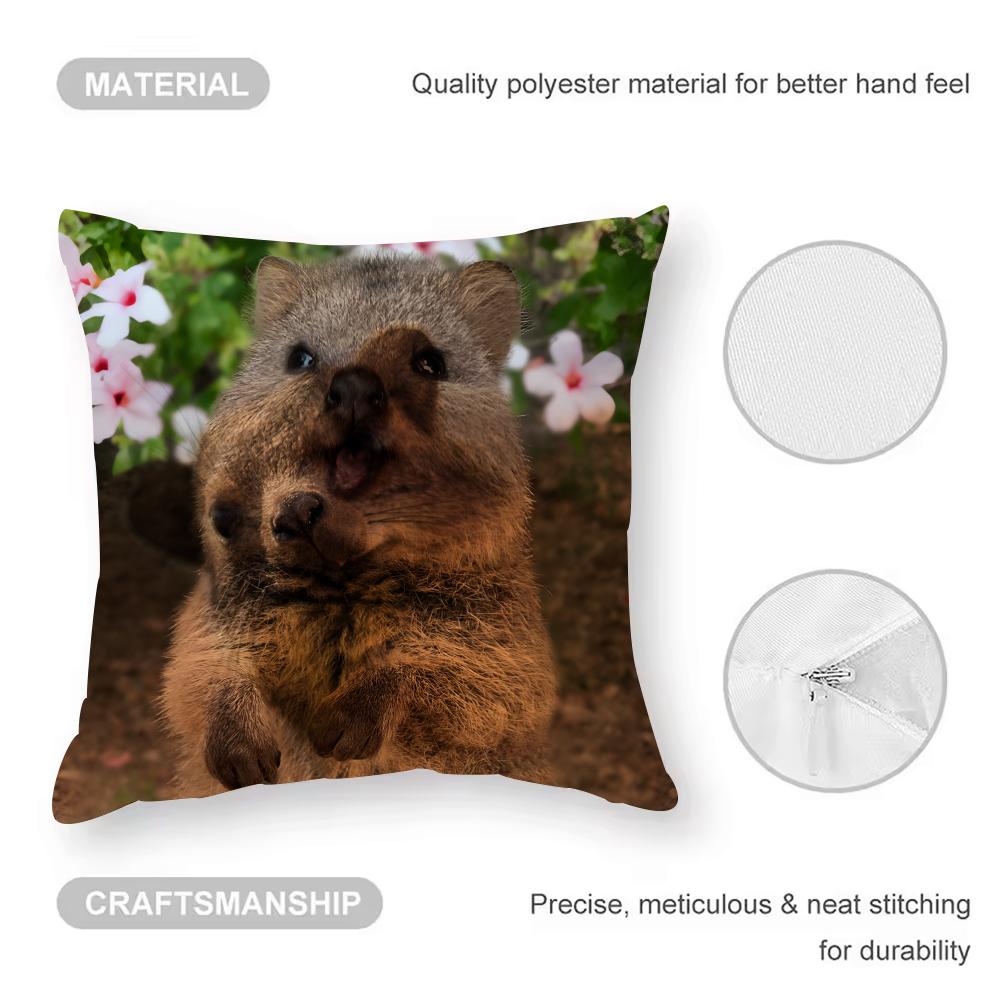 Anime Cute Rock Hyrax Animal Pillow Case Anti-Dustmite Pillowcase Invisible Zipper Silky Short Plush Sofa Cushion Cover