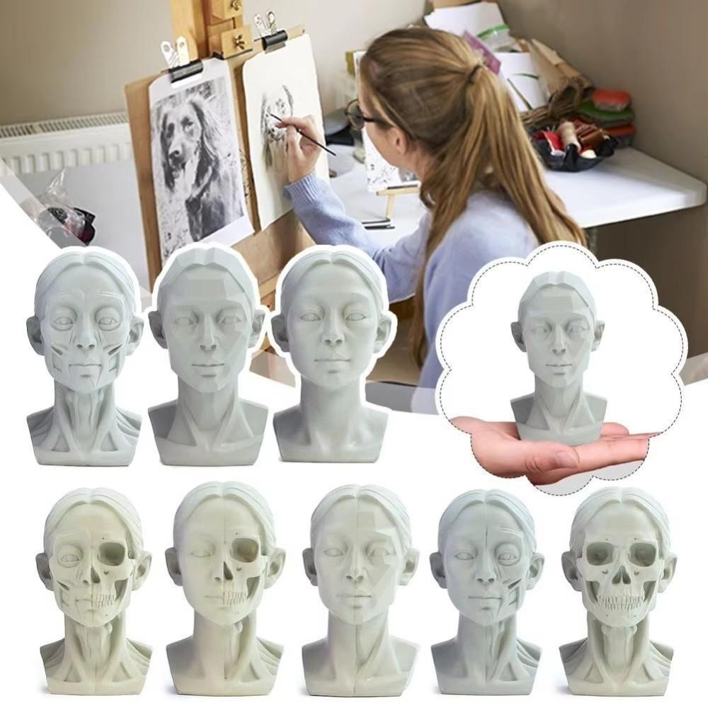 Натюрморт Орнамент Плоская Модель Головы Смола Эскиз Живопись Скульптура для Начинающих Художников