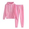 2 Pcs/Set Women Hoodie Pants Suit Solid Color Plush Long Sleeves Thick Top Elastic Waist Ankle-banded Trousers Sport Fitness