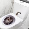 Игривый котенок Наклейка на сиденье унитаза Водонепроницаемая Самоклеящаяся Съемная Наклейка для Ванной Комнаты WC Декор
