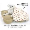 Cool cushion for dogs and perfect for summer use in pet and cooling Stylish Korean brand PARISDOG Bear Comfort cats, carts. Comforter, bolster, mat.