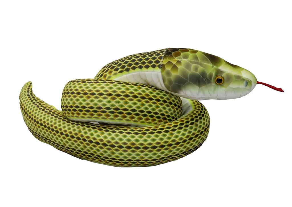 Take Off Japanese Rat Snake