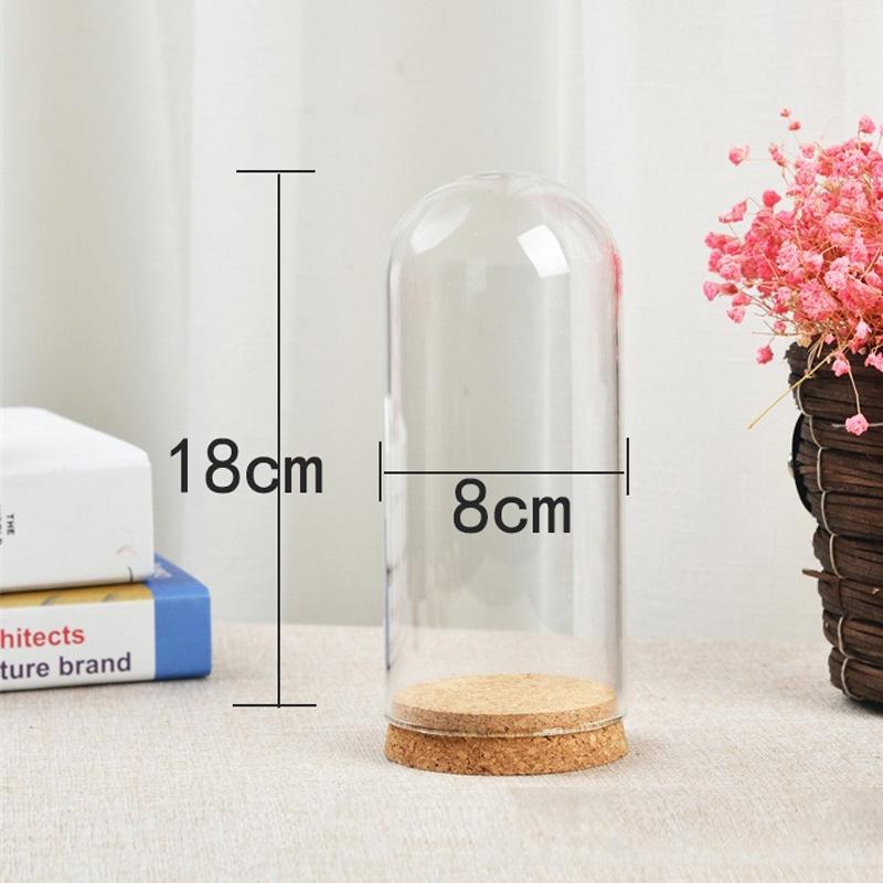 Glass Display Cloche Bell Jar Dome Flower Preservation Cover Wood Base DIY