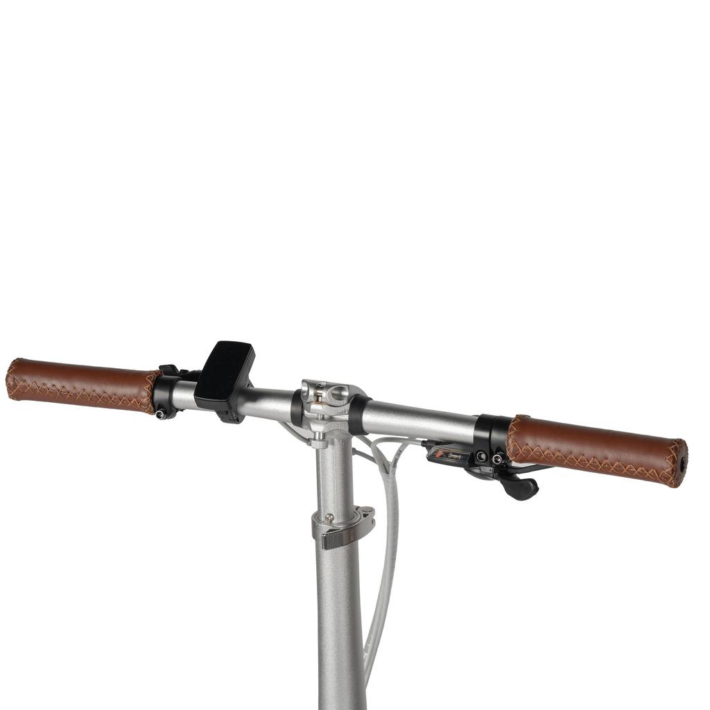 Maxtron Smart20 Lightweight Electric Bike–250W Motor, 36V 5.2Ah Battery