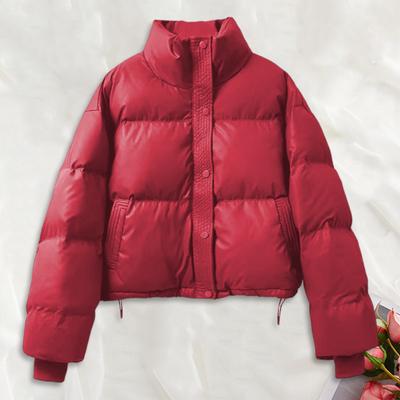 Зимнее пуховое пальто Утолщенное с подкладкой Высокий воротник Карманы Однобортный Ветрозащитный Длинные рукава Сохранение тепла Теплый