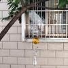 Вращающийся Спираль Хвост Спиннер Ветра Звонки Хрустальный Стеклянный Шар Подвеска Маятник Сад Детская Окна Висячие XMS Елочные Украшения