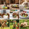 3PCS Long Lasting Plush Squeaky Toy Colorful Stripe Interactive Dog Toy  Boredom Relief