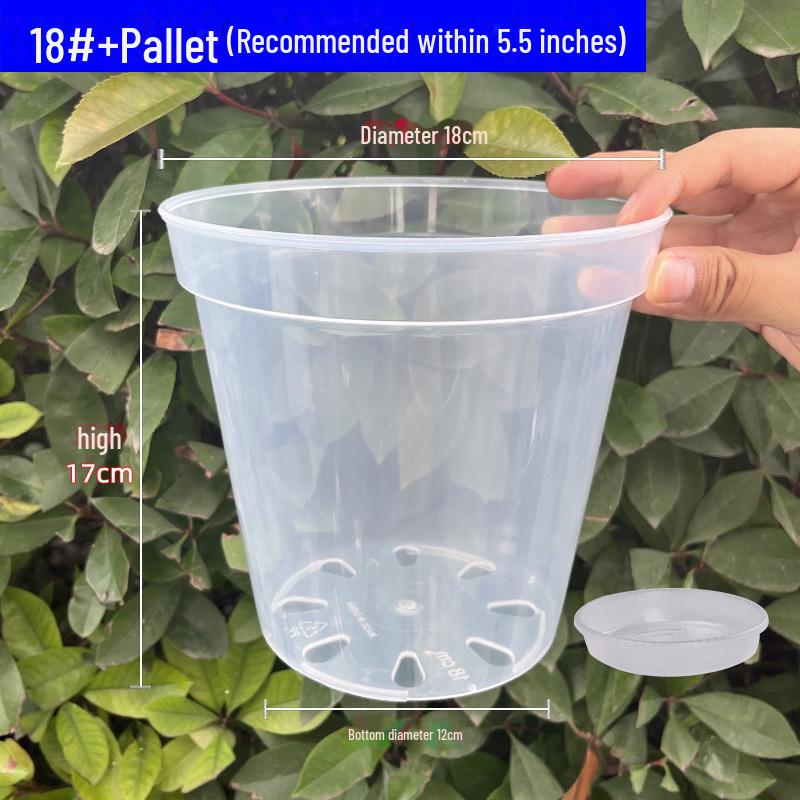 Clear Plastic Orchid Pot: Sphagnum Moss, Square & Round Design for Phalaenopsis or Fish Tanks