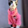 Fashion Sphynx Cat Pink Bear Fleece Sweater Hairless Cat Clothes Thick Warm 4-legged Coat Fleece Jumpsuit for Devon Rex