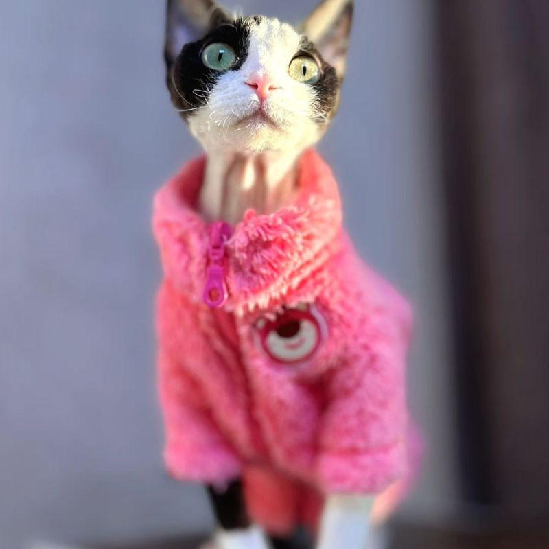 Fashion Sphynx Cat Pink Bear Fleece Sweater Hairless Cat Clothes Thick Warm 4-legged Coat Fleece Jumpsuit for Devon Rex
