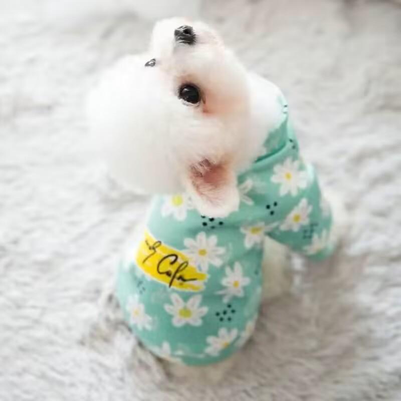 Осенне-зимний свитер с медведем для пуделей, французских бульдогов, кошек, плюшевых собачек и собак мелких и средних пород