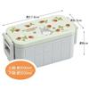 Skater Bento Box My Neighbor Totoro Strawberry 600ml Antibacterial 2 Tiers for Women Made In Japan YZW3AG-A