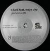 12inch Record T-FUNK - The Glamorous Life TB25060 Silver Label 2006 US Dance & Electronica Used