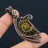 Ammonite Fossil Gemstone Copper Wire Wrap Handmade Jewelry Beautiful Pendant Gift For Love