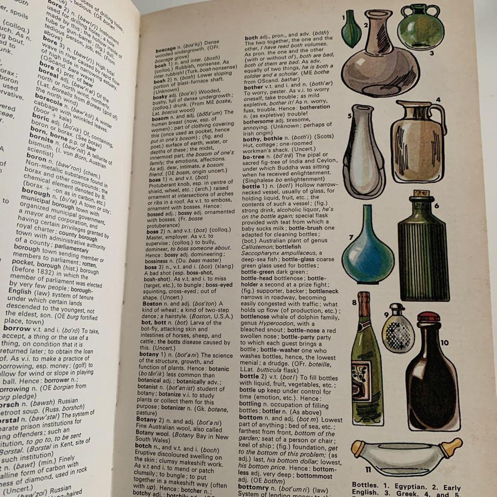 [USED] ILLUSTRATED Colour Dictionary