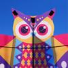 Durable Owl Kite For Kids Outdoor Activities Colorful Long Tail Design High Wind Resistance Fiberglass Frame Easy Assembly Foldable Travel Toy