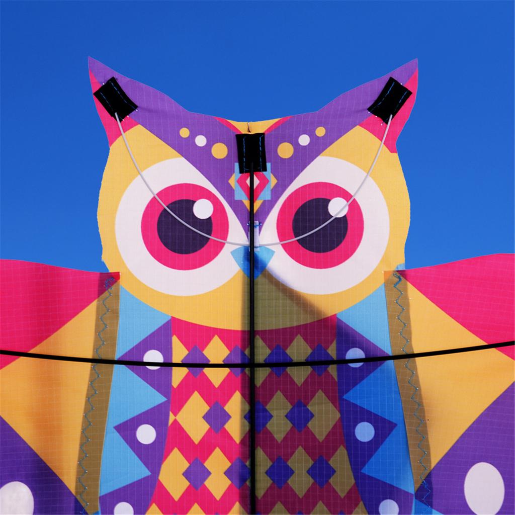 Durable Owl Kite For Kids Outdoor Activities Colorful Long Tail Design High Wind Resistance Fiberglass Frame Easy Assembly Foldable Travel Toy