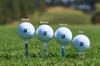 BRIDGESTONE Golf Magnet Tee FW GAGMGTF 2023 Model