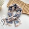 Decorative Simple Texture Silk Scarf Women'S New Style Spring And Autumn Summer Fashion Versatile Headscarf Work Scarf