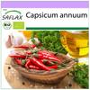 Organic - Hot Chili Pepper – De Cayenne Long Slim - 10 Seeds - Capsicum Annuum