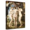 Canvas Print, Three Graces - P. P. Rubens Reproduction