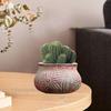 Plant Pot Flowerpot Container Rustic Decoration Boho Craft Ceramic Planter Vase for Flowerbed Desk