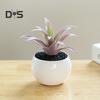 Пластиковые искусственные сочные анти-выцветания красивые маленькие поддельные растения в горшках настольные украшения