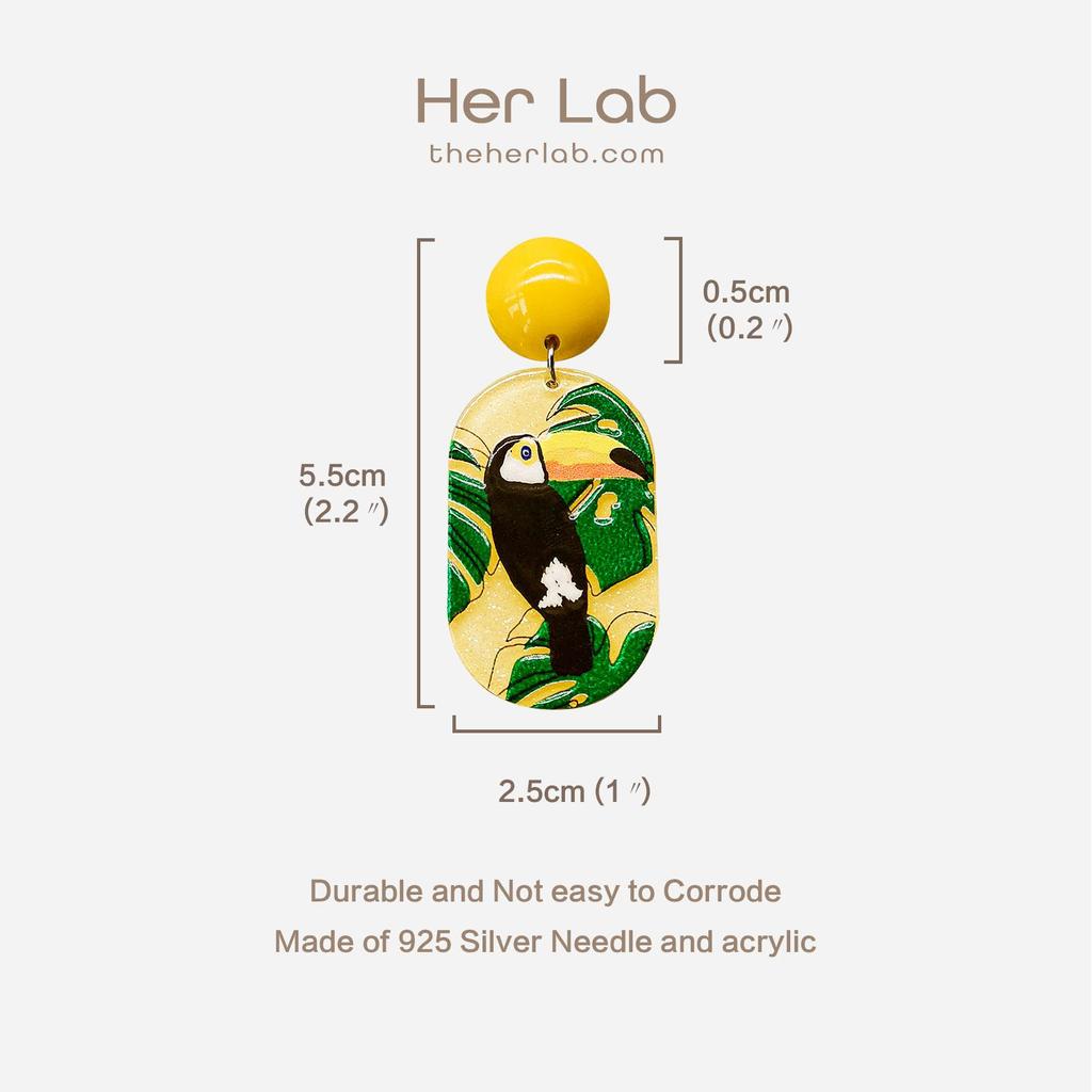 Her Lab | Цветные акриловые серьги с изображением сороки и попугая, висячие серьги из смолы, богемные модные ювелирные серьги для женщин и девочек