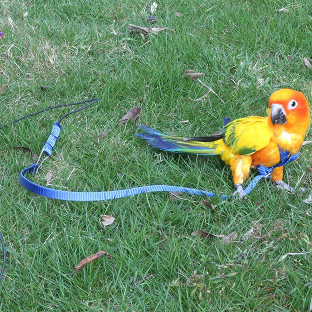 Portable Adjustable Bird Supplies Bird Leash Traction Strap Pet Training Rope Parrot Harness