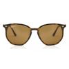 Ray Ban Rb4306 Polarized 710 83 Unisex Sunglasses