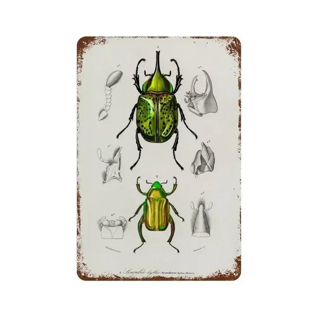 Vintage Butterfly Insect Plant Collection Chart Metal Tin Sign Retro Aesthetic Art Decor for Living Room Wall Home Decor Poster