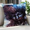 Band TThe Jimi Hendrix Experience Cushion Cover Cushion Cover Set Pcs x x x Pillowcase Decorative Sofa Home Decor