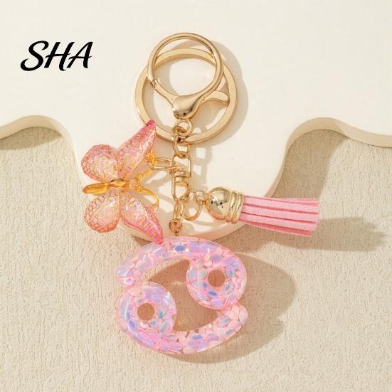 Portable Keychain Charm Pendant, The Zodiac with Butterfly Pendant Tassel, Metal Keyring for Handbag Backpack Bag Car Decoration