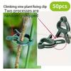 20/50pcs Plant Fixed Clips Reusable Garden Greenhouse Bracket for Fixed Plants Vine Flower Seedling Tomatoes Support Garden Tool