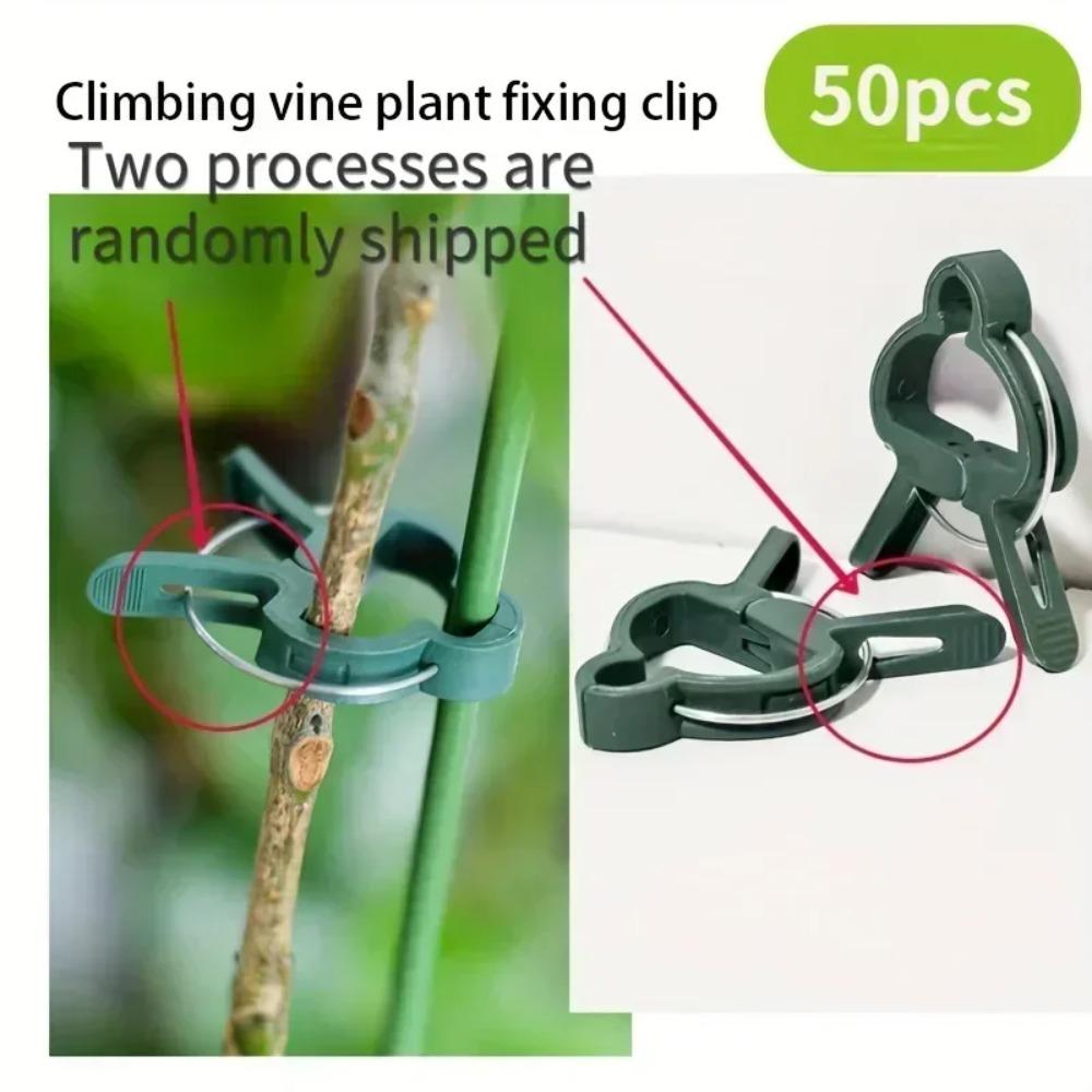 20/50pcs Plant Fixed Clips Reusable Garden Greenhouse Bracket for Fixed Plants Vine Flower Seedling Tomatoes Support Garden Tool