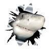 3D Shark Car Sticker, Fun Waterproof Sticker for Cars, Trucks, Motorcycles, Walls, Windows, PVC Material