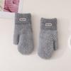 Korean Style Solid Color Gloves Plush Cycling Driving Gloves Cute Full Finger Mittens  Girls