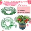 Подставка для лотка для посадки клубники Садоводство Горшечные фрукты Семья зеленых растений Сращивание против гниения фруктов Полка для поддержки Стойка для поддона для овощей в горшках