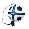 Tottenham Hotspur FC Training Ball