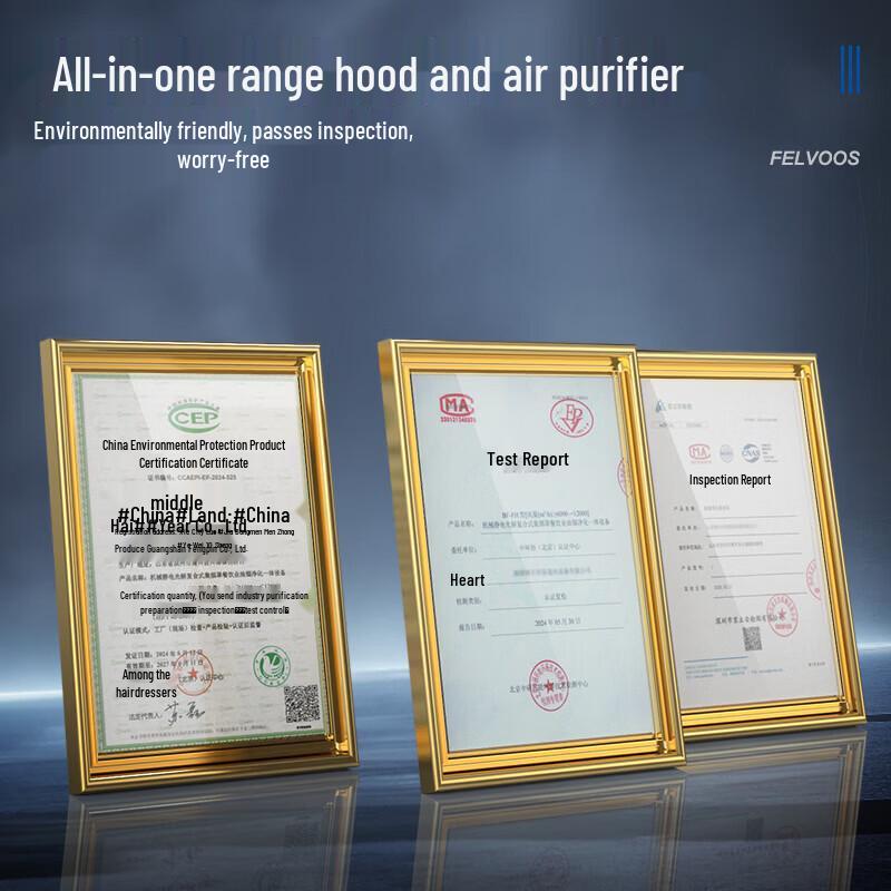 Feiwosi Commercial Integrated Fume Purifier