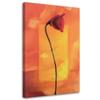 Canvas Print Poppy Red Flower Nature