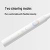 Xiaomi Mijia T100 Sonic Electric Toothbrush