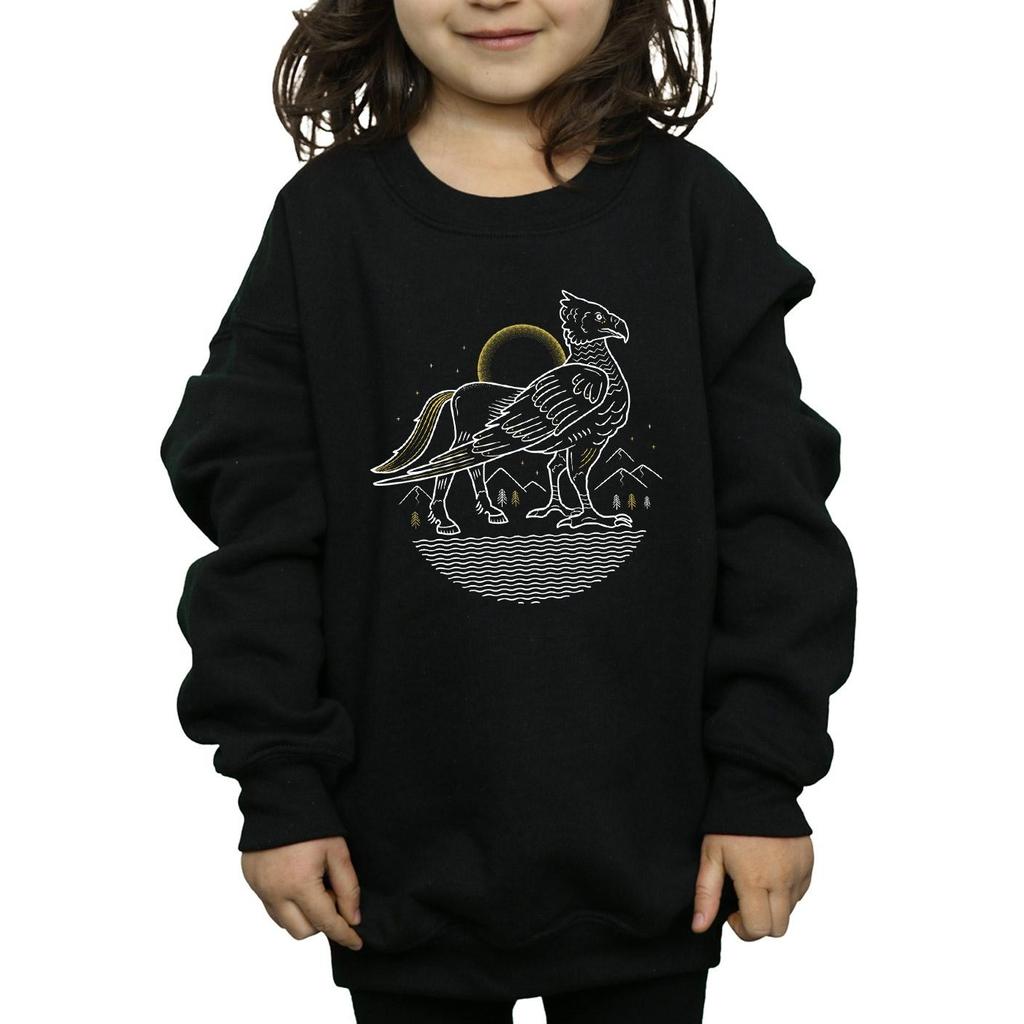 HARRY POTTER Свитшот с линейным рисунком Бэклза для девочек
