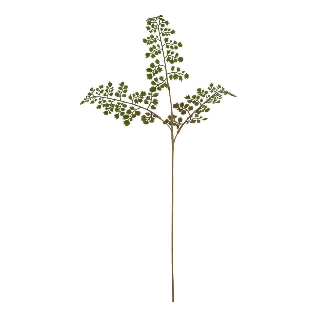 Hill Interiors The Natural Garden Collection Maidenhair Fern Artificial Flower
